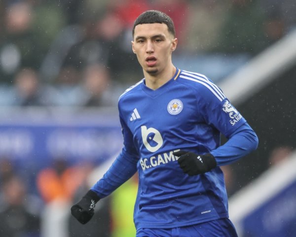 电讯报：纽卡有益莱斯特城中场埃尔哈努斯，解约金数额超3000万镑