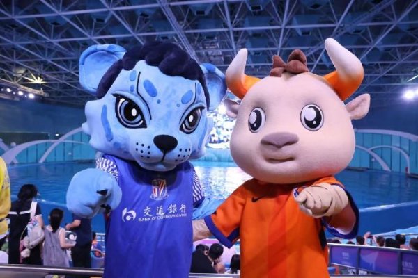 好友积贮在青岛！犇犇的好一又友布鲁来啦！