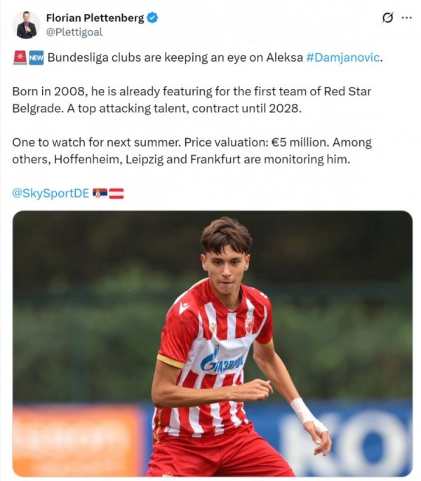 德天外：德甲俱乐部怜惜红星16岁先锋达姆贾诺维奇